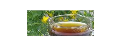 La imagen 2 de la Empresa FARMACIA HOMEOPÁTICA SANTA RITA LTDA Tienda de vitaminas y suplementos en Bogotá CUN