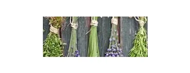 La imagen 4 de la Empresa FARMACIA HOMEOPÁTICA SANTA RITA LTDA Tienda de vitaminas y suplementos en Bogotá CUN