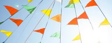 La imagen 1 de la Empresa FESTONES Y FESTÓN Tienda navideña en Cali VAC