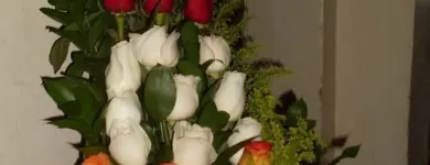 La imagen 2 de la Empresa FLORISTERÍA JARDÍN MUNDIAL Mayorista para floristerías en Medellín ANT