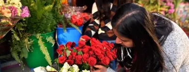 La imagen 2 de la Empresa FLORISTERÍA LA VIOLETA Tienda de novias en Popayán CAU