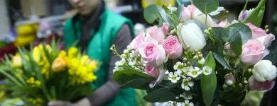 La imagen 3 de la Empresa FLORISTERÍA LA VIOLETA Tienda de novias en Popayán CAU
