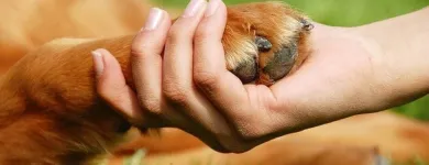 La imagen 3 de la Empresa FRIEND YOU PET Veterinario en Pereira RIS