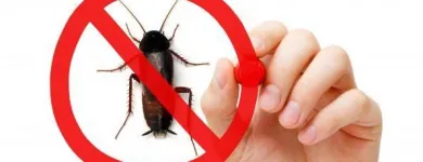 La imagen 3 de la Empresa FUMIGACIÓN DEL NORTE Servicio de control de plagas en Cali VAC