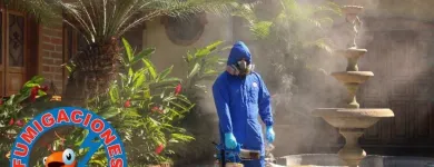 La imagen 1 de la Empresa FUMIGACIONES J.C Servicio de control de plagas en Pereira RIS