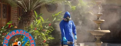 La imagen 2 de la Empresa FUMIGACIONES J.C Servicio de control de plagas en Pereira RIS