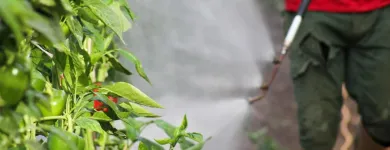 La imagen 5 de la Empresa FUMITÉCNICOS Servicio de control de plagas en Bogotá CUN