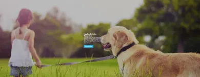 La imagen 5 de la Empresa FUNERALES DEL VALLE Tienda para mascotas en Cali VAC