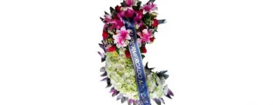 La imagen 1 de la Empresa FUNERARIA Y FLORISTERÍA DE LA COSTA Mayorista para floristerías en Medellín ANT