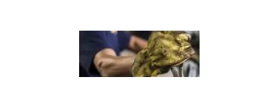 La imagen 1 de la Empresa ICOMALLAS S.A. Construcciones de canchas en Cali VAC