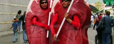 La imagen 4 de la Empresa IDEAS FACTORYX LTDA en Bogota DC