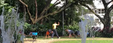 La imagen 1 de la Empresa INMOTION LA REVOLUCIÓN FITNESS Clubes deportivos en Cali VAC