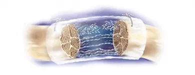 La imagen 4 de la Empresa INSUMEDICAL LTDA Tienda de suministros médicos en Barranquilla ATL