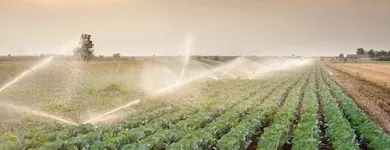 La imagen 1 de la Empresa IRRITECOL Servicios agrícolas en Cali VAC