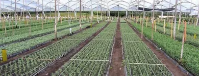 La imagen 3 de la Empresa IRRITECOL Servicios agrícolas en Cali VAC