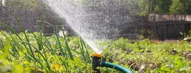 La imagen 6 de la Empresa IRRITECOL Servicios agrícolas en Cali VAC