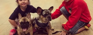 La imagen 1 de la Empresa LA FRANCIA EXOTIC BULLS Tienda para mascotas en Medellín ANT