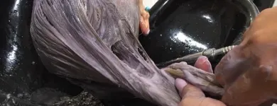 La imagen 7 de la Empresa LA PELUQUERÍA CASA DE BELLEZA Peluquería en Santa Marta MAG