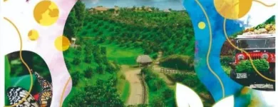 La imagen 3 de la Empresa LABORATORIOS JAAS S.A.S Servicio de limpieza doméstica en Pereira RIS