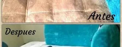 La imagen 6 de la Empresa LAVANDERÍA MODERNA Servicio de limpieza de tapizados en Cali VAC