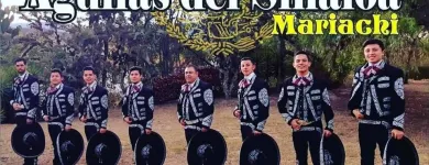 La imagen 3 de la Empresa MARIACHI AGUILAS DEL SINALOA Músico en Tunja BOY