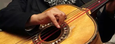 La imagen 3 de la Empresa MARIACHI MEXÍCO LINDO Tienda de música en Girardot CUN