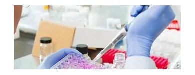 La imagen 2 de la Empresa MAURICIO GONZÁLEZ URREA Médico en Pereira RIS