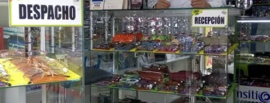 La imagen 9 de la Empresa OPTICA PERFECT VISION SYF Ópticas en Bogotá DC