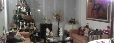 La imagen 2 de la Empresa ORGANZA DEKO en Bogotá CUN