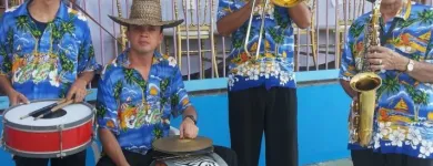 La imagen 2 de la Empresa PAPAYERA Y CHIRIMÍA - LOS PAISAS DEL VALLENTATO Tienda de sonido para el hogar en Medellín ANT