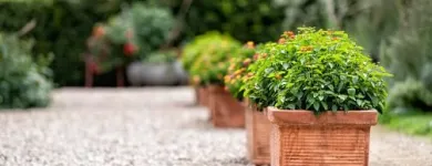 La imagen 3 de la Empresa PIEDRAS Y ARTE DONDE ALEX S.A.S Proveedor de piedra y arena en Bogotá CUN