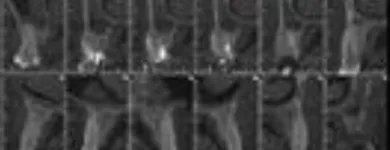 La imagen 3 de la Empresa RADIOLOGIA ORAL CRA SAS Radiología en Bogotá DC