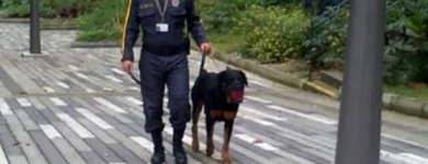 La imagen 5 de la Empresa SEGURIDAD LAS AMÉRICAS LTDA Servicio de seguridad en Medellín ANT