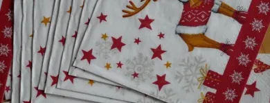 La imagen 1 de la Empresa SERVILLETAS IMPRESAS AAM INVERSIONES LTDA. Tienda de artículos de cocina en Bogotá DC