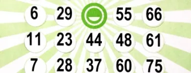 La imagen 5 de la Empresa TODO BINGO Servicio de alquiler de materiales para fiestas en Medellín ANT