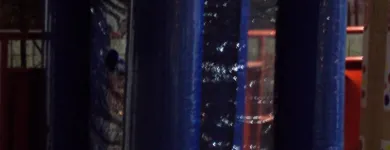 La imagen 7 de la Empresa TODO BINGO Servicio de alquiler de materiales para fiestas en Medellín ANT