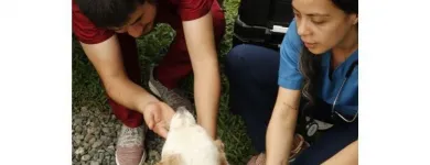 La imagen 4 de la Empresa VETERINARIA CORAZÓN DEL EJE Veterinario en Pereira RIS