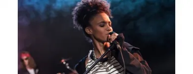 La imagen 3 de la Empresa VIOLINES EN CONCIERTO Tienda de música en Bogotá, D.c. DC