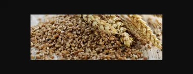 La imagen 3 de la Empresa VITAL GRAINS S.A.S. Tienda de frutos secos en Bogotá DC