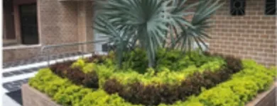 La imagen 4 de la Empresa VIVERO LA PALMA Viveros en Medellín ANT