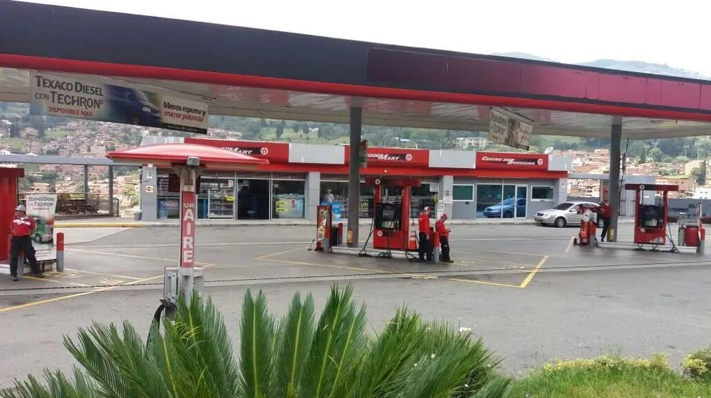 La imagen 4 de la Empresa DOLPHINS PLUS ESTRELLA DE ORIENTE