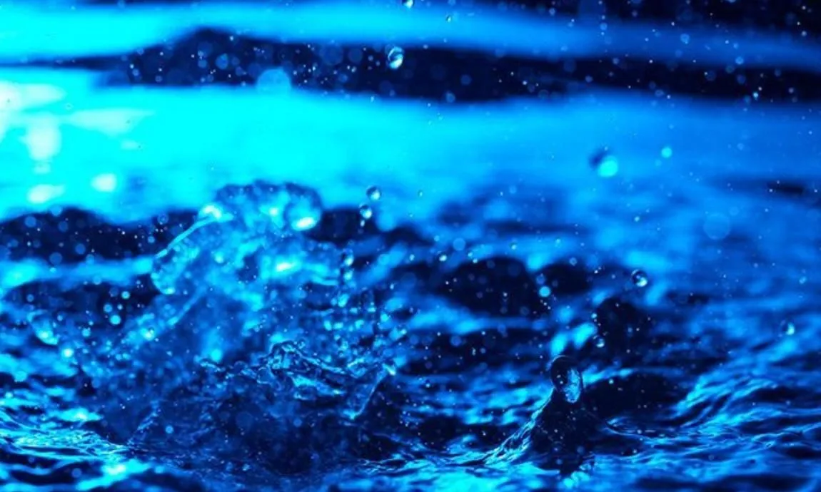 La imagen 1 de la Empresa ACUAYA