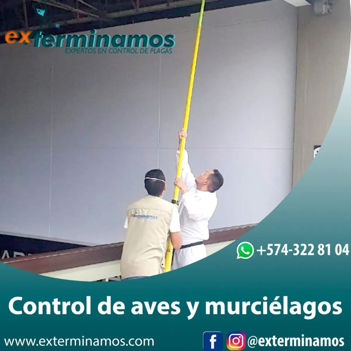 La imagen 5 de la Empresa EXTERMINAMOS