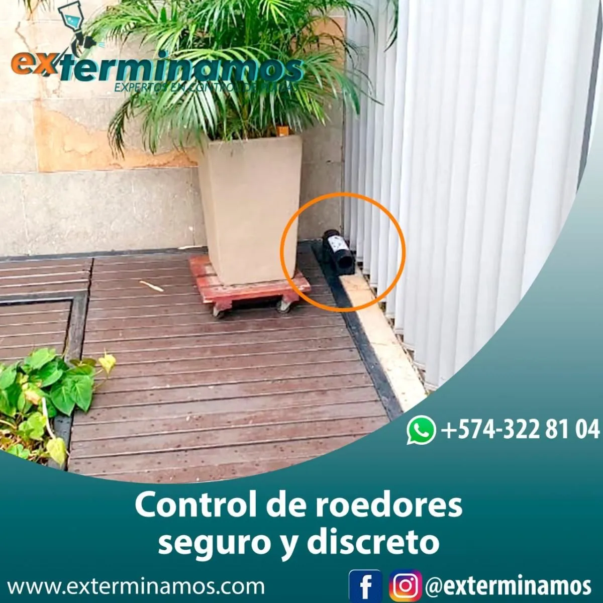 La imagen 8 de la Empresa EXTERMINAMOS