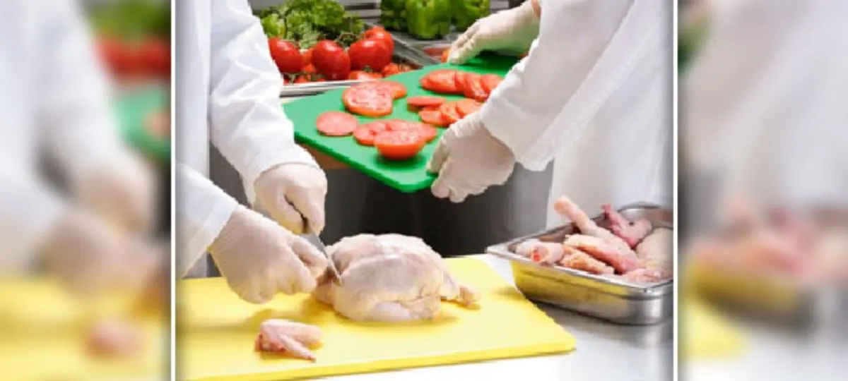 La imagen 3 de la Empresa SEILAM S.A.S.