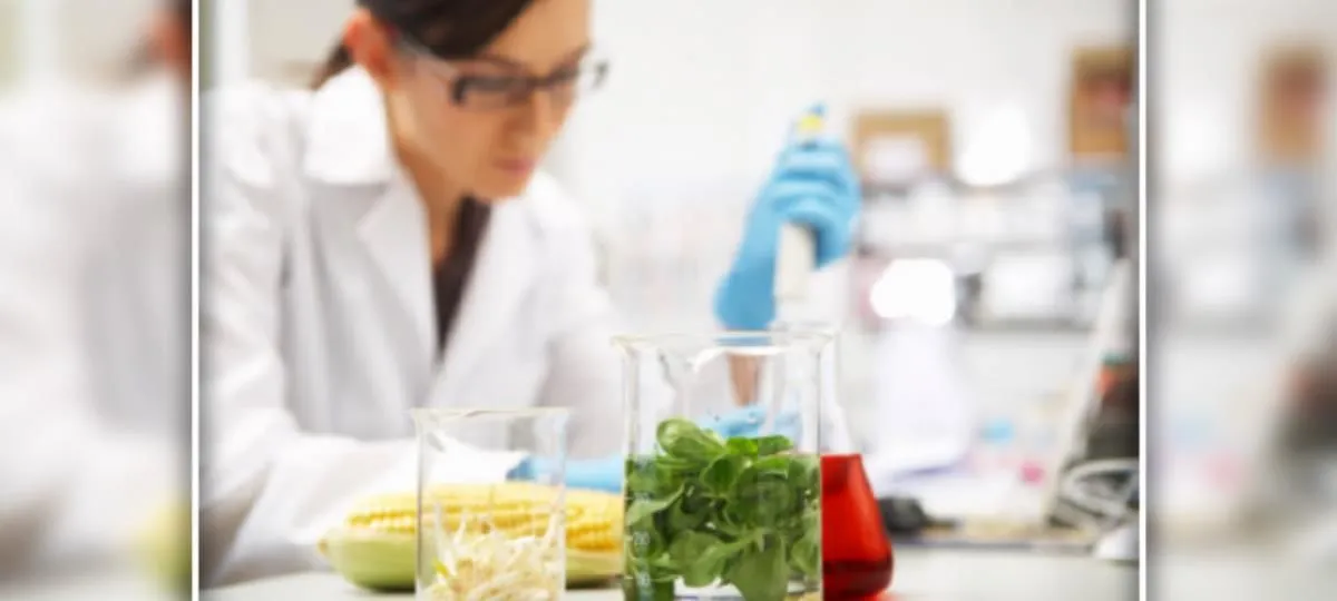 La imagen 5 de la Empresa SEILAM S.A.S.