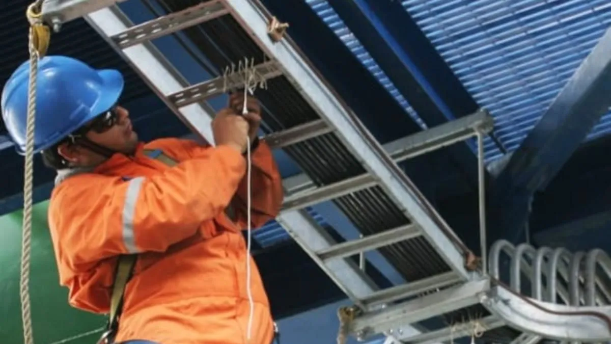 La imagen 3 de la Empresa PYS SAMA S.A.S