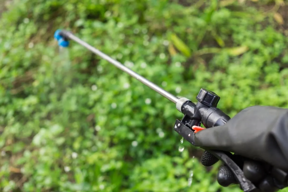 La imagen 3 de la Empresa FUMITÉCNICOS