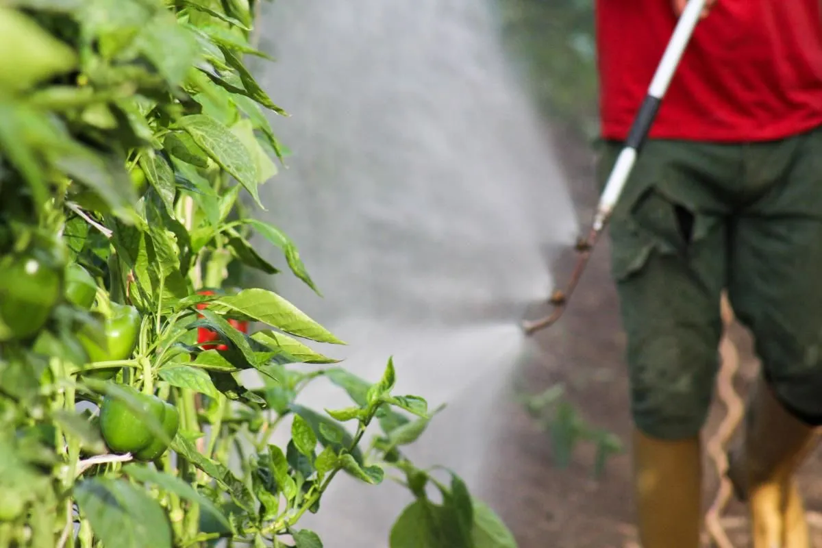 La imagen 5 de la Empresa FUMITÉCNICOS