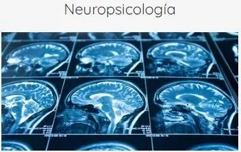 La imagen 4 de la Empresa CLÍNICA NEUROPSICOLOGICA INTEGRAL NEURAXIS IPS S.A.S